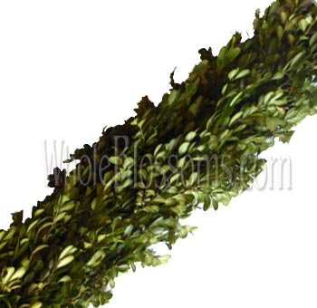 Boxwood garland with dense, fresh green leaves, arranged in a continuous decorative strand.